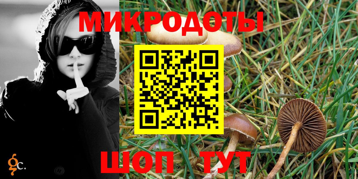 Галлюциногенные грибы прущие грибы Юрга