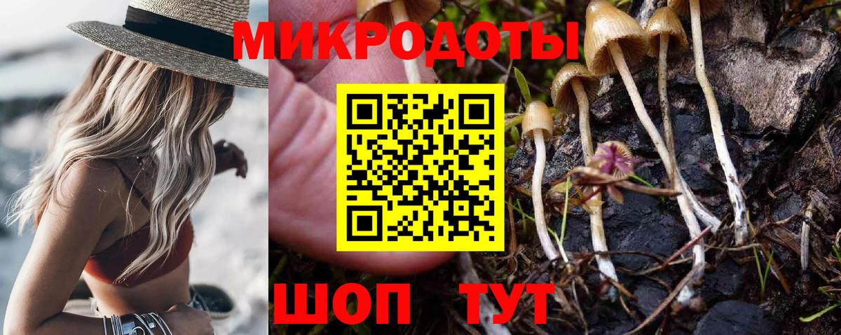 Галлюциногенные грибы ЛСД  Галлюциногенные грибы Psilocybe  Вход с VPN  Юрга 